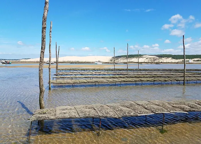 A : A 50m, Terrasse, Parking, Wifi, 4 Pers - Fr-1-474-266 * Arcachon